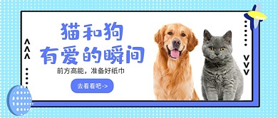 绿色孟菲斯猫和狗有爱的瞬间公众号首图