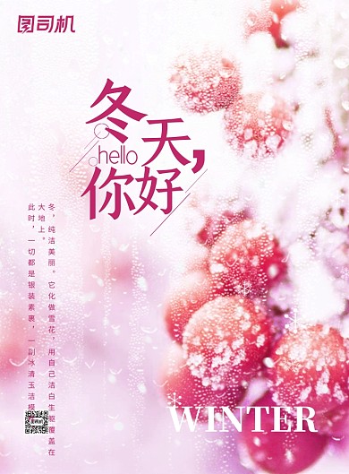 冬天唯美梦幻雪景冬季果子你好海报