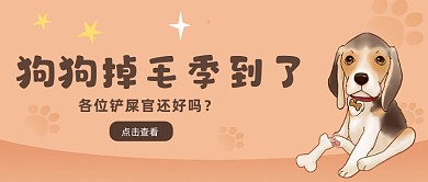 橙色卡通风狗狗掉毛处理指南公众号首图