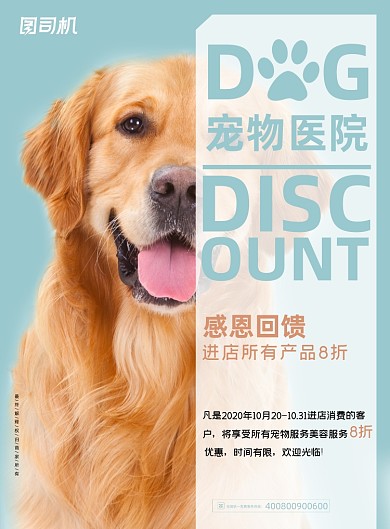 宠物清新简约医院优惠宣传海报