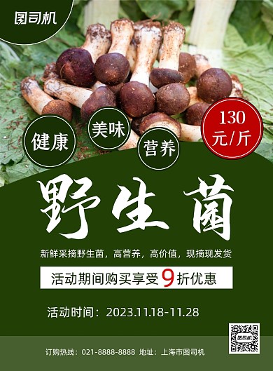 野生菌绿色简约促销宣传印刷海报