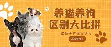 黄色简约风养猫养狗区别公众号首图