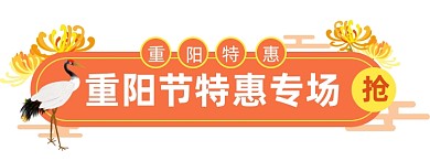 重阳节插画橙色电商天猫胶囊