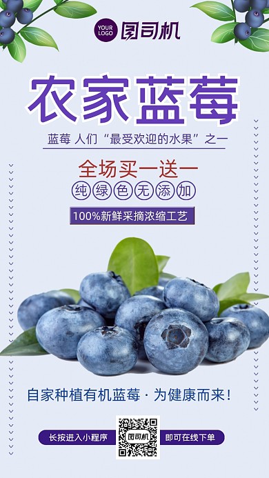 农家蓝莓有机健康水果简约手机海报