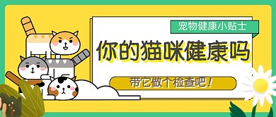 你的猫咪健康吗公众号首图