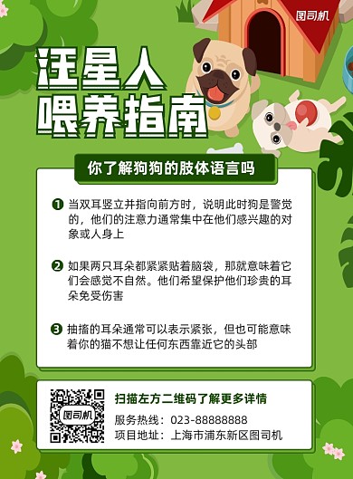 宠物喂养绿色指南宣传印刷海报