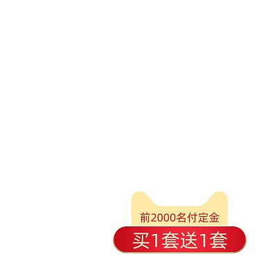 双十一狂欢预售定金规则盛典活动促销标签设计