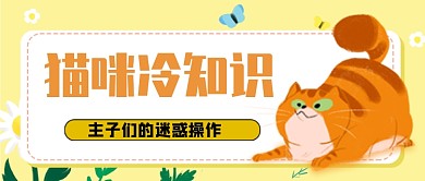 猫咪冷知识公众号首图