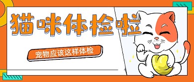 猫咪体检公众号首图