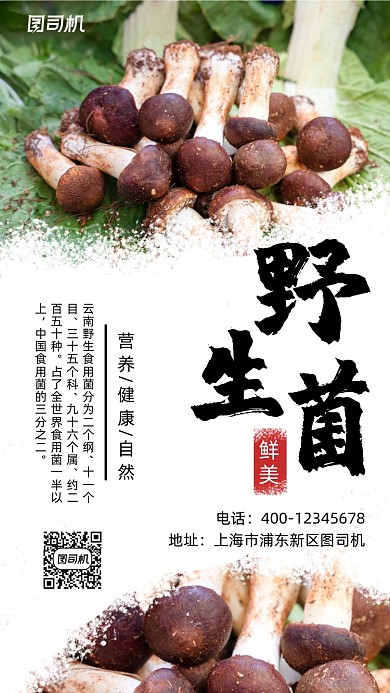 野生菌实景照片简约风手机海报