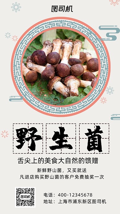 野生菌中国风实景手机海报