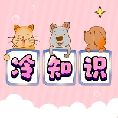 冷知识可爱插画公众号次图