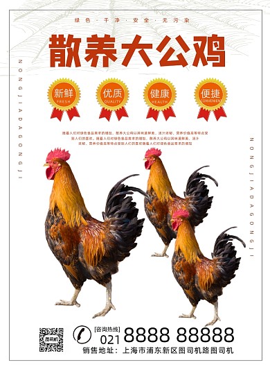 大公鸡散养美食餐饮饭店私房菜印刷海报