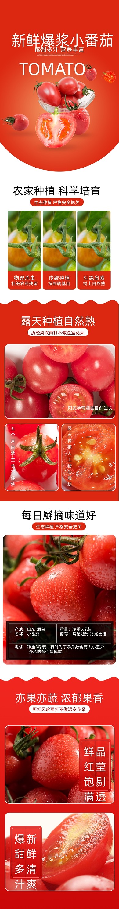 生鲜蔬菜番茄西红柿详情页