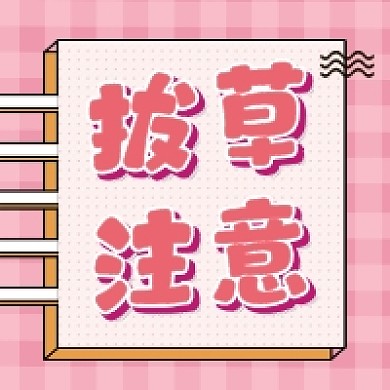 拔草注意粉色清新公众号次图