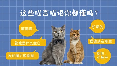 猫咪搞笑行为可爱直播横版视频封面