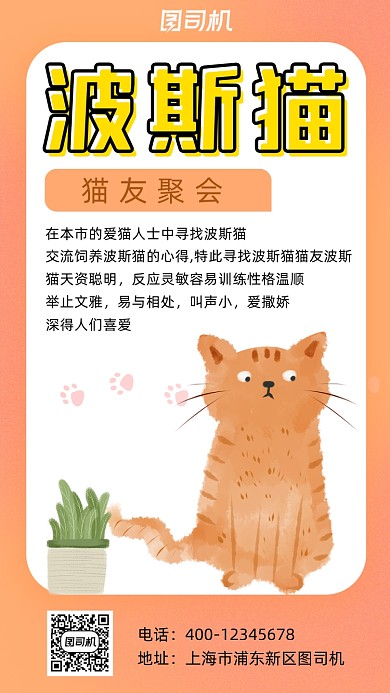 波斯猫猫友聚会可爱卡通风手机海报