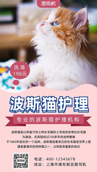 波斯猫护理宠物店宣传手机海报