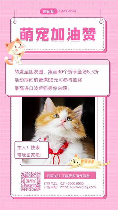 萌宠加油赞宠物宣传摄影图手机海报