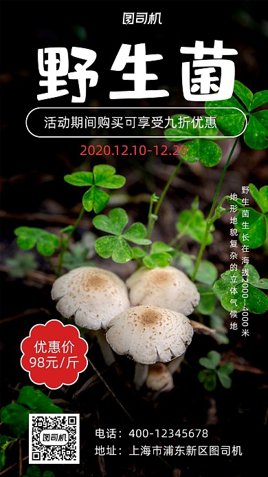 野生菌简约风手机海报