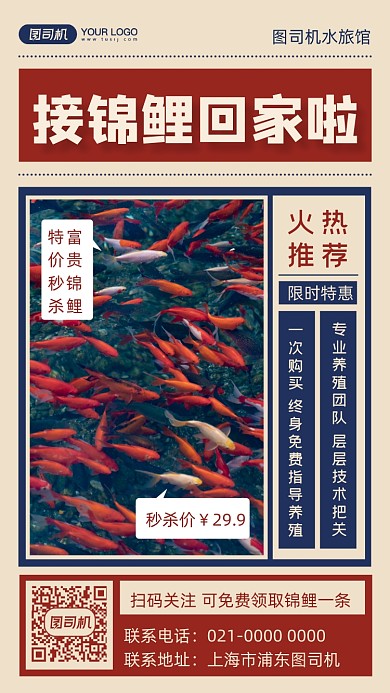锦鲤观赏鱼宣传摄影图手机海报