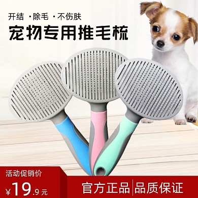宠物专用推毛梳时尚简约促销主图