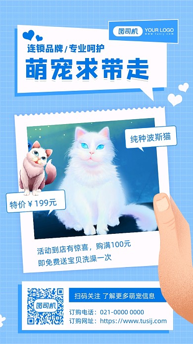 萌宠波斯猫宣传摄影图手机海报