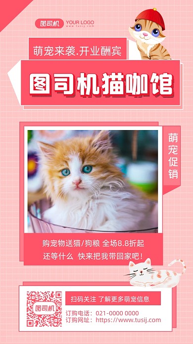 猫咖馆宠物宣传摄影图手机海报