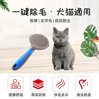 宠物梳毛工具功能介绍简约主图