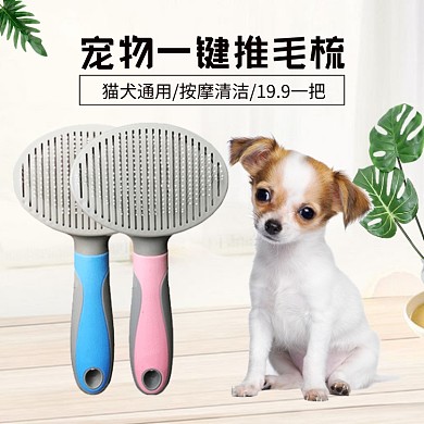 宠物一键推毛梳简约促销主图