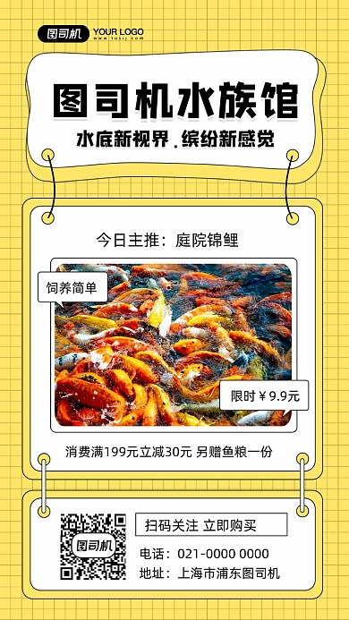锦鲤观赏鱼宣传摄影图手机海报