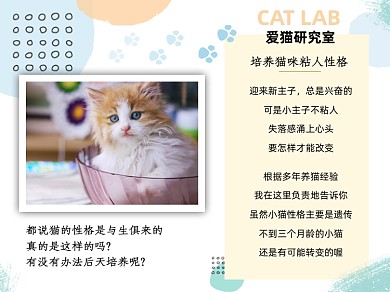 爱猫研究所培养猫咪粘人性格横版配图