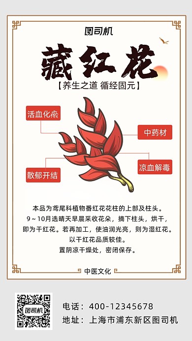 藏红花科普中国风手机海报