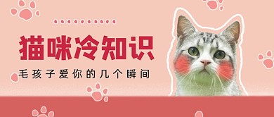 粉色宠物猫咪冷知识公众号首图