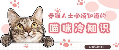 粉红色调养猫冷知识公众号首图
