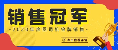 2020销售冠军展示简约首图