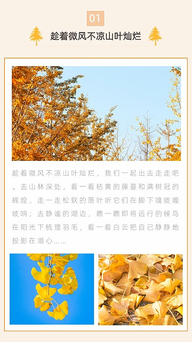 黄色简约秋天落叶文章配图