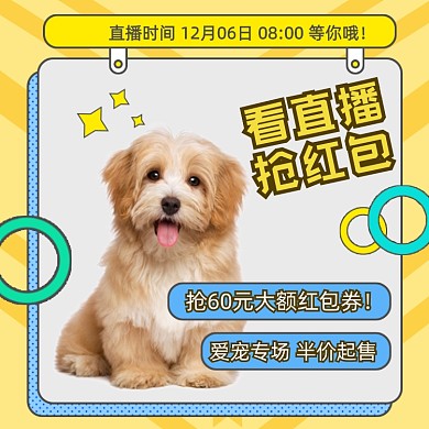 宠物专场直播领券促销手绘卡通主图