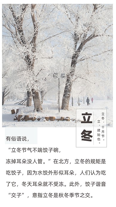 简约立冬到来文章配图