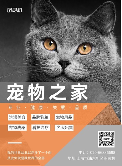 宠物店服务印刷海报