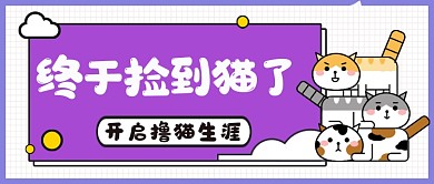 终于捡到猫了公众号首图