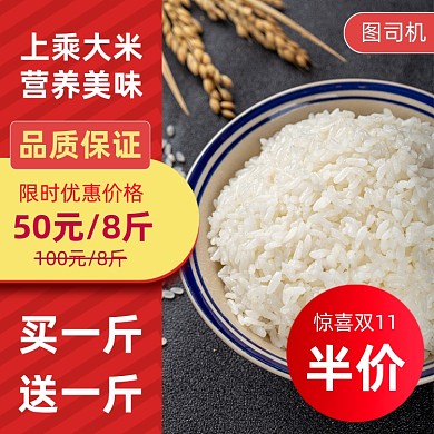 农产品大米时尚简约主图直通车