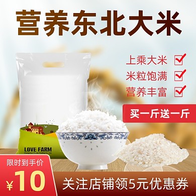 农产品大米时尚简约主图直通车