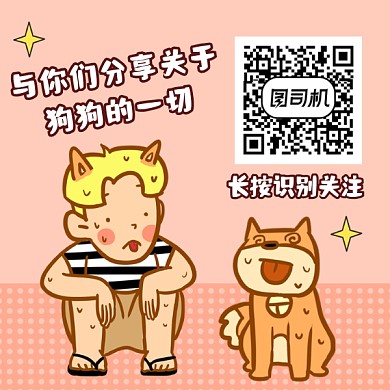 分享狗狗资讯可爱插画方形二维码
