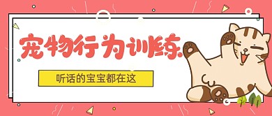 宠物行为训练公众号首图