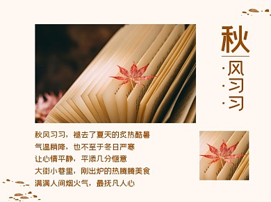 秋风习习文艺枫叶书横版配图