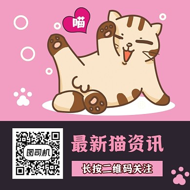 分享最新猫资讯可爱插画方形二维码