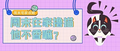 紫色卡通撸猫周末公众号首图
