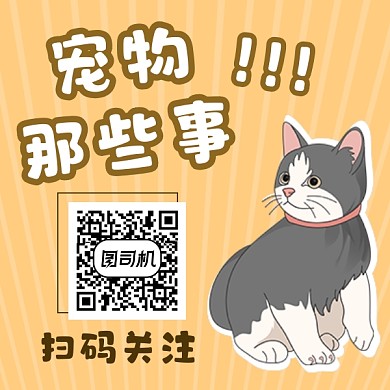 宠物那些事可爱插画方形二维码