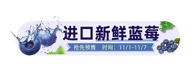 进口新鲜蓝莓简约胶囊banner